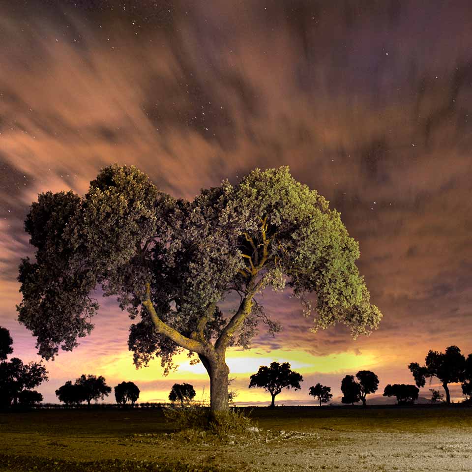 Fotograf&iacute;a nocturna